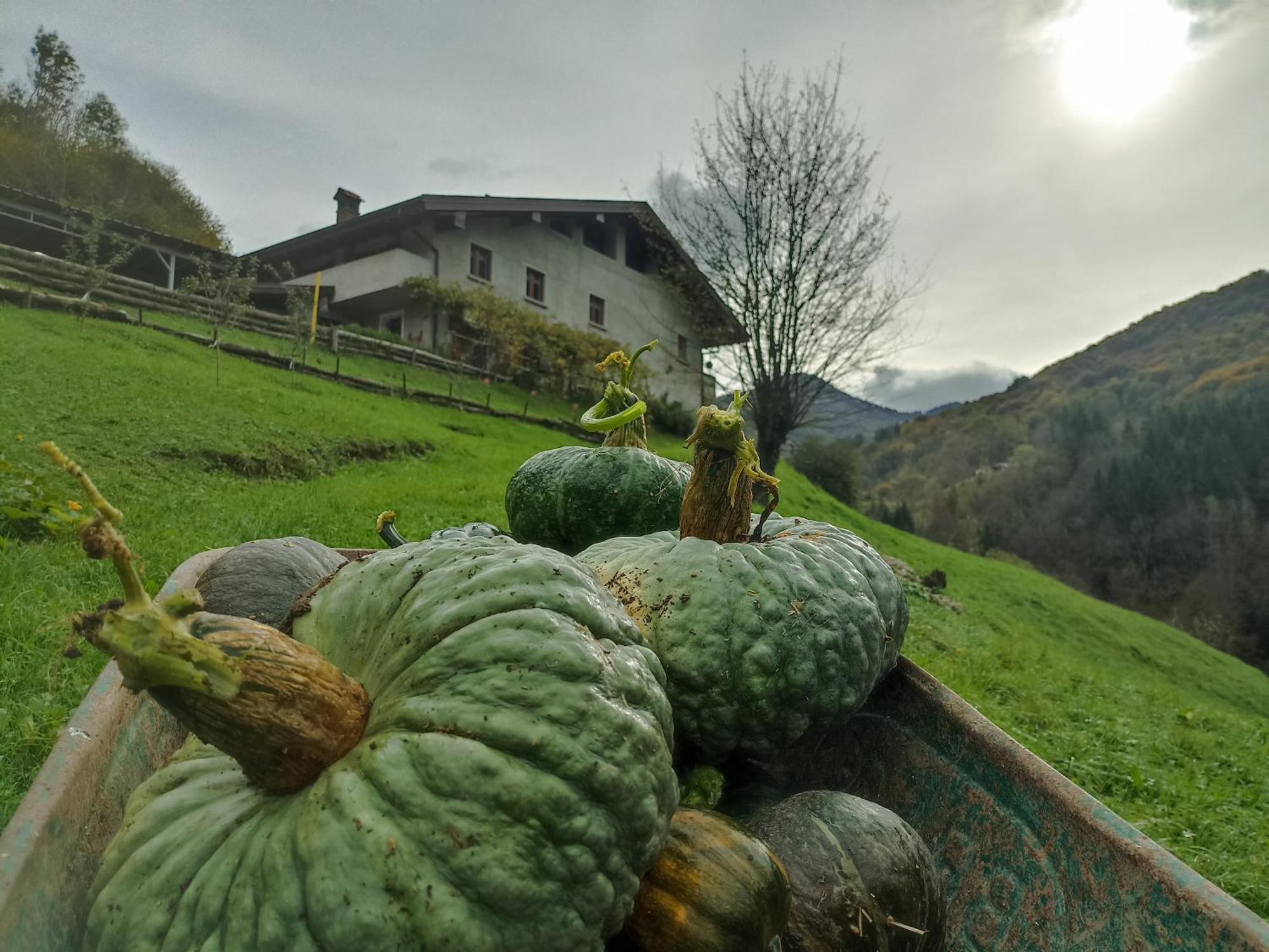 Agriturismo Cascina Cornella Cremeno Exterior photo